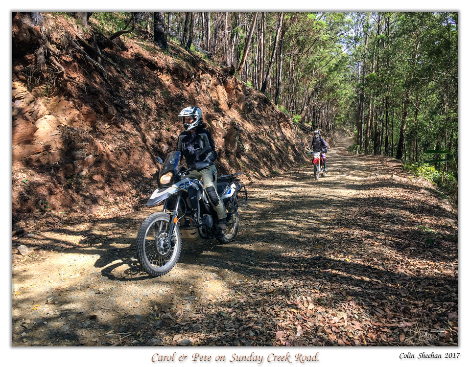 Sunday Creek Road through the bush.