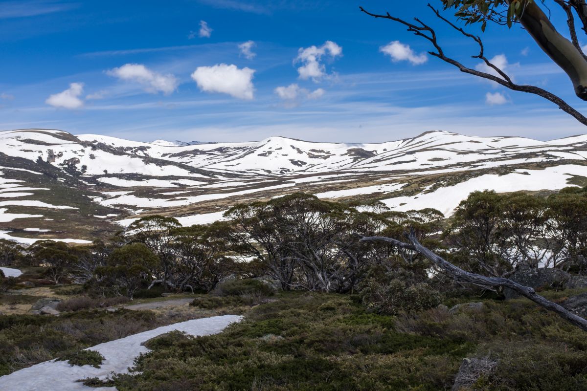 Mount Kosciuszko is to the left